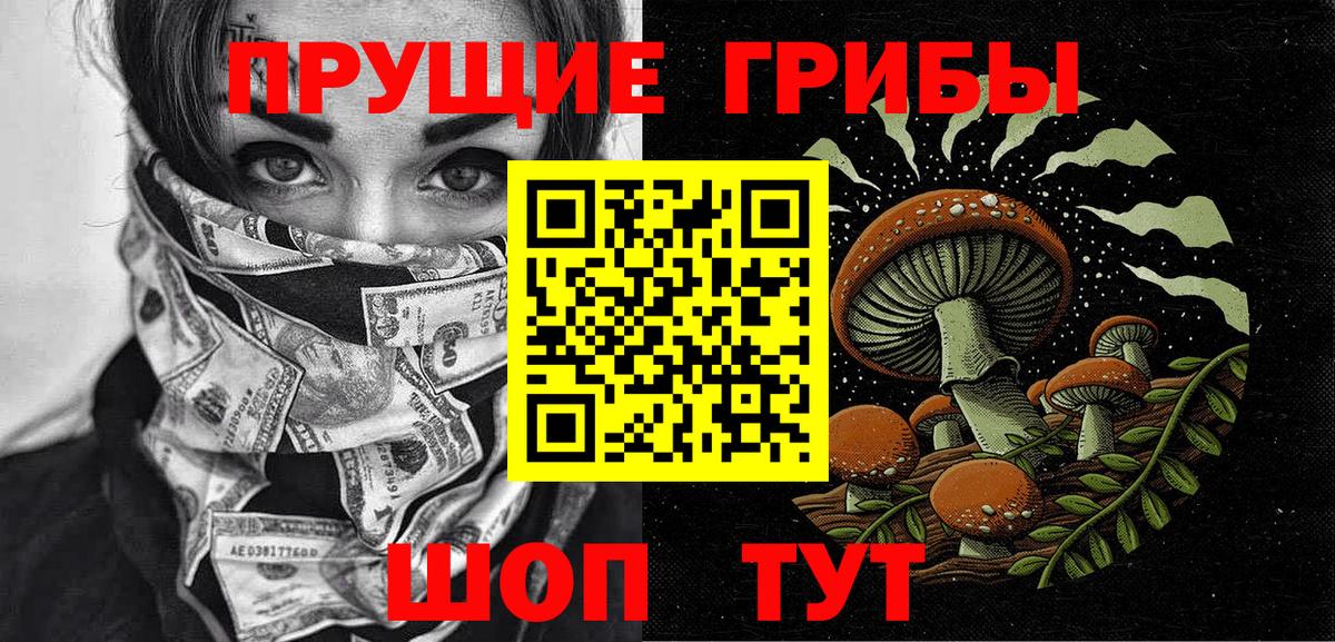 Алексеевка  Галлюциногенные грибы Psilocybine cubensis  Вход с VPN 