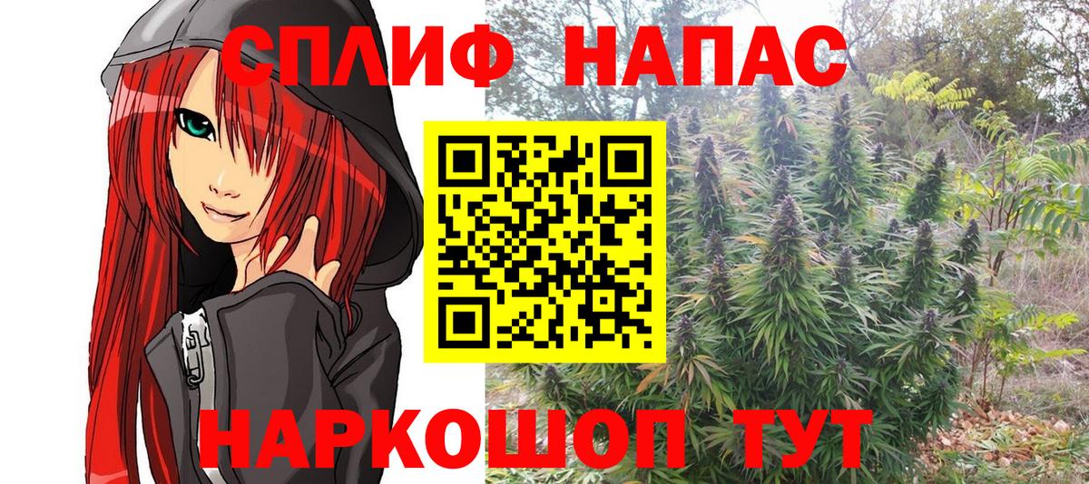 Бошки марихуана OG Kush Алексеевка